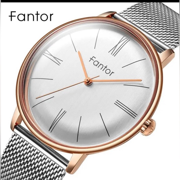 Designer - Fantor 10021 Mesh Chain Men’s Watch, Water Resistant - Picture 7 of 12